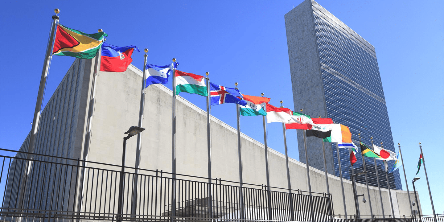 Advocacy at the United Nations
