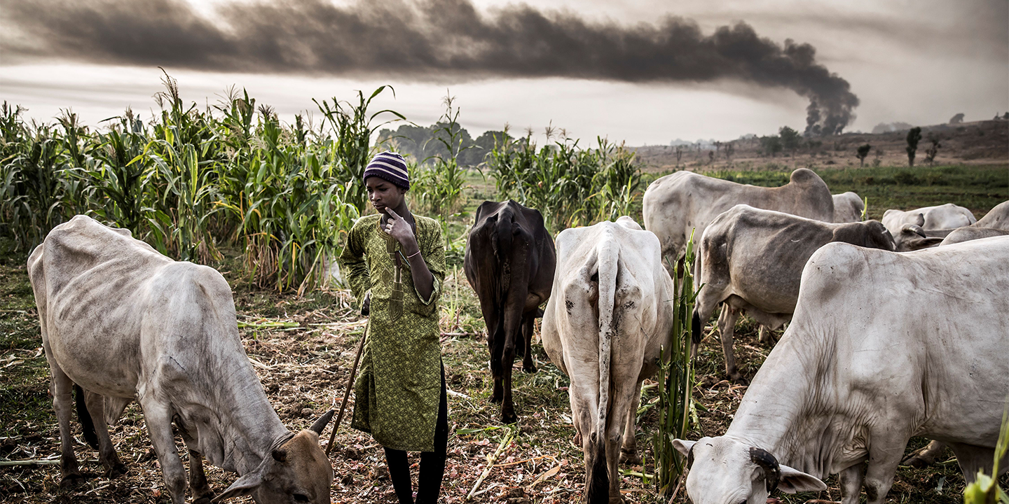 Photo Source: © Luis Tato/AFP via Getty Images