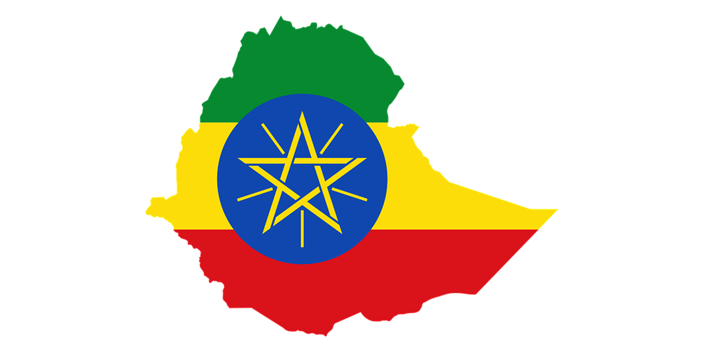 Ethiopia: The Human Rights Council should convene a special session to address the quickly deteriorating human rights situation and prevent further atrocity crimes